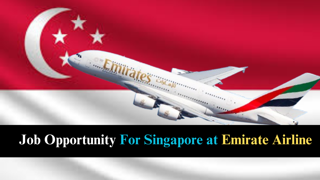 Head of Commercial – dnata Singapore (Full-Time, Permanent Role)